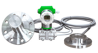 Преобразователь дифференциального давления с выносными мембранами Эмис-Бар 183-188 PDS883 ru.jpg